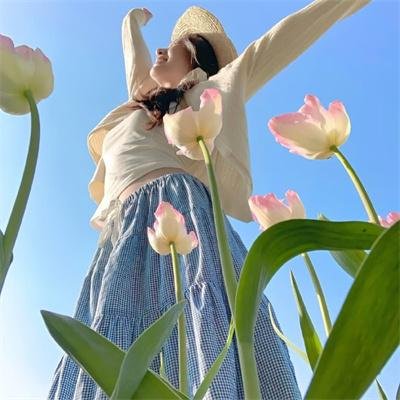 狮子退贼